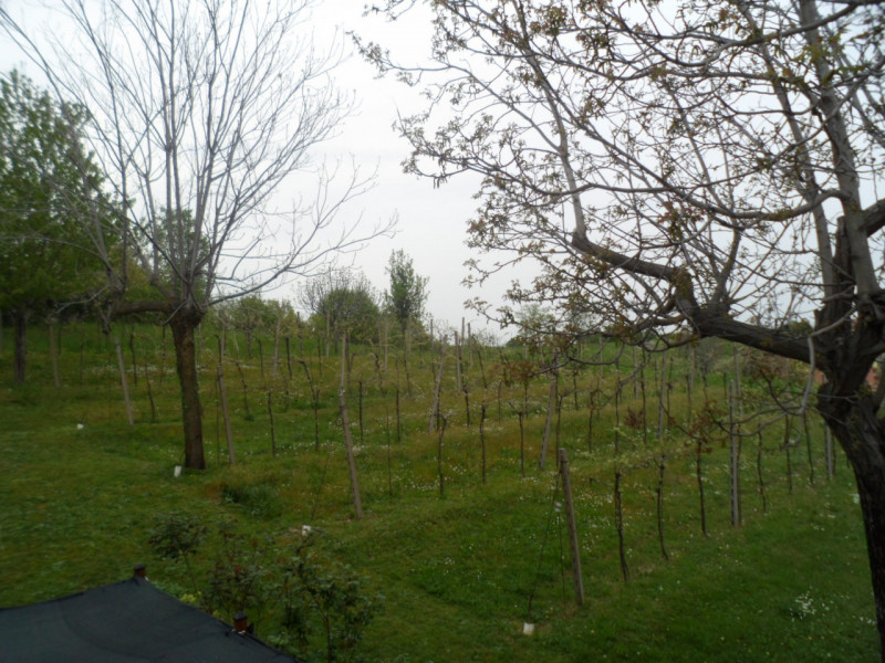 Immagine 2 di Casa bifamiliare in vendita  in strada montegrande a Vicenza