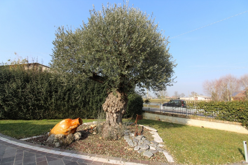 Immagine 50 di Villa in vendita  in via Pelosa a Veggiano