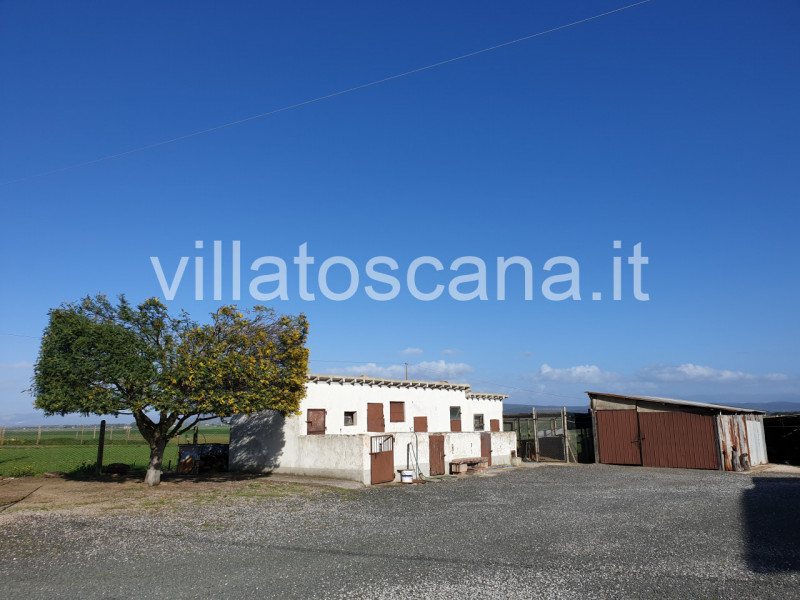 Immagine 2 di Rustico / casale in vendita  a Castiglione Della Pescaia