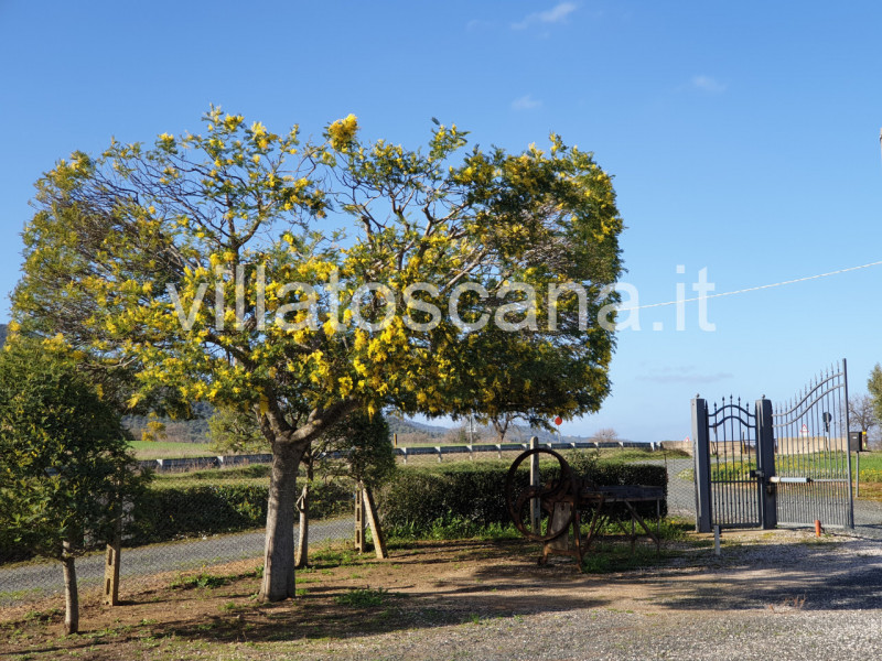 Immagine 4 di Rustico / casale in vendita  a Castiglione Della Pescaia