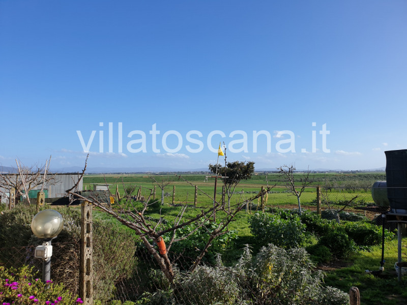 Immagine 6 di Rustico / casale in vendita  a Castiglione Della Pescaia