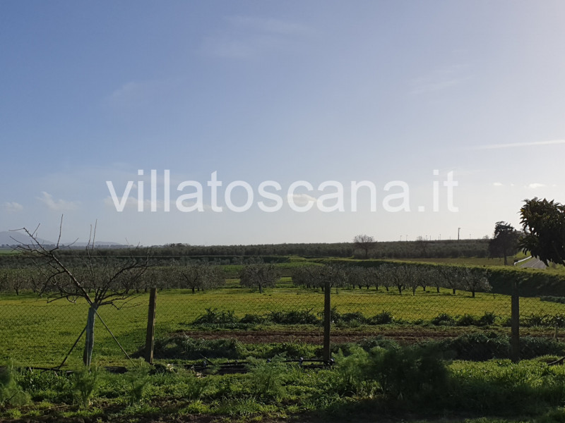 Immagine 8 di Rustico / casale in vendita  a Castiglione Della Pescaia