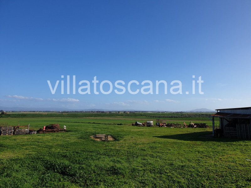 Immagine 11 di Rustico / casale in vendita  a Castiglione Della Pescaia