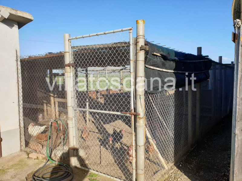 Immagine 14 di Rustico / casale in vendita  a Castiglione Della Pescaia