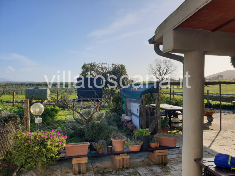 Immagine 19 di Rustico / casale in vendita  a Castiglione Della Pescaia