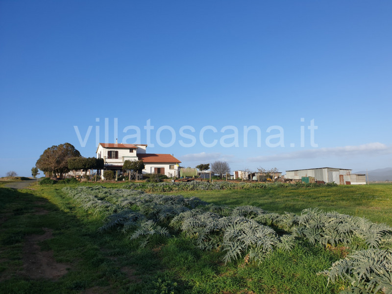 Immagine 42 di Rustico / casale in vendita  a Castiglione Della Pescaia