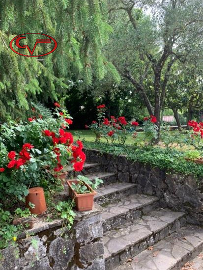 Immagine 95 di Villa in vendita  in via gori a Cavriglia