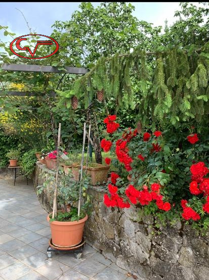 Immagine 97 di Villa in vendita  in via gori a Cavriglia