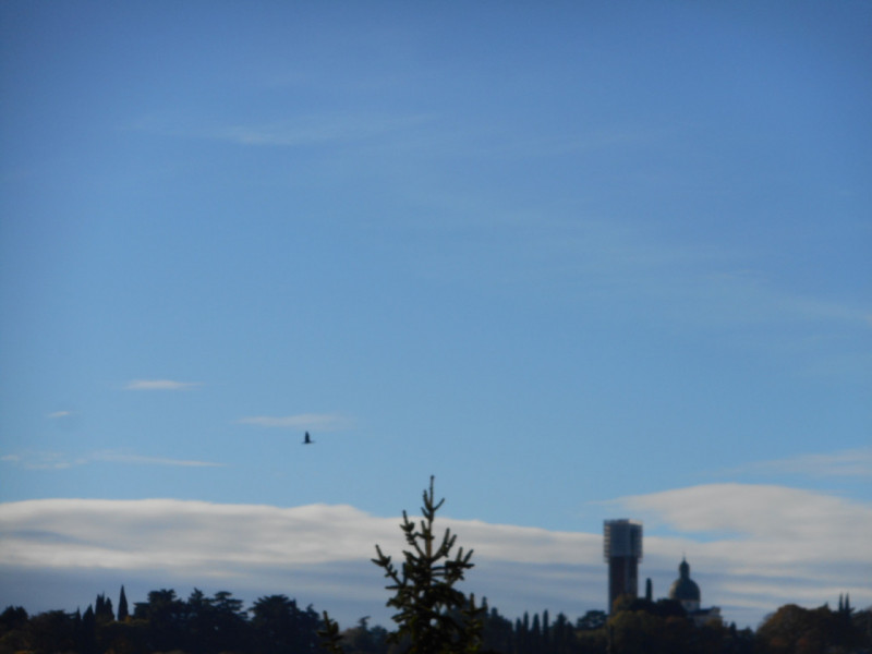 Immagine 10 di Appartamento in vendita  in contrà s. pietro a Vicenza