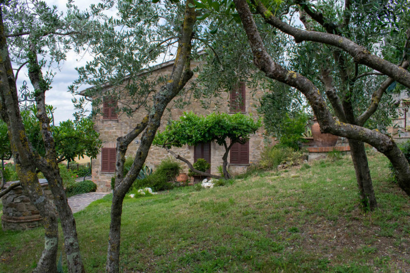 Immagine 3 di Rustico / casale in vendita  in via dell'acquedotto a Torgiano