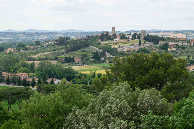 Immagine 7 di Rustico / casale in vendita  in via dell'acquedotto a Torgiano