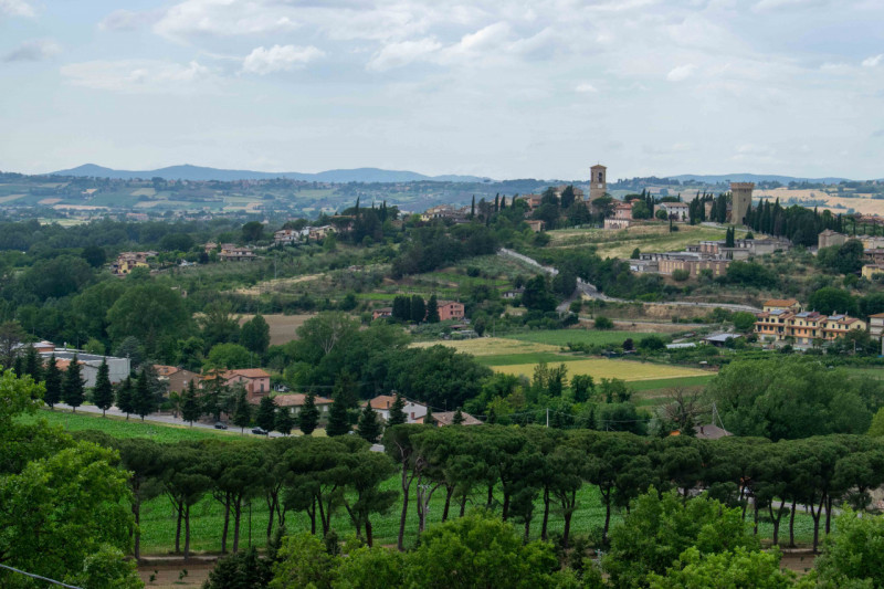 Immagine 26 di Rustico / casale in vendita  in via dell'acquedotto a Torgiano