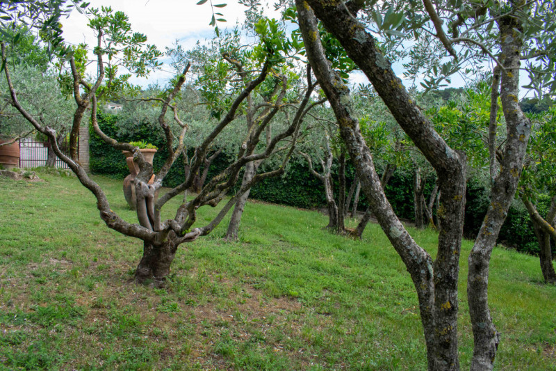 Immagine 45 di Rustico / casale in vendita  in via dell'acquedotto a Torgiano
