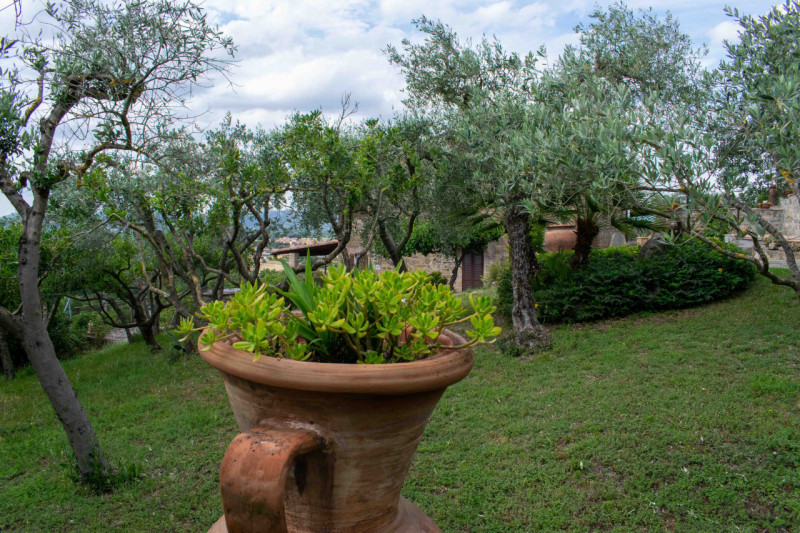 Immagine 46 di Rustico / casale in vendita  in via dell'acquedotto a Torgiano