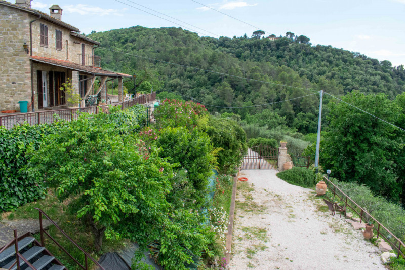 Immagine 53 di Rustico / casale in vendita  in via dell'acquedotto a Torgiano