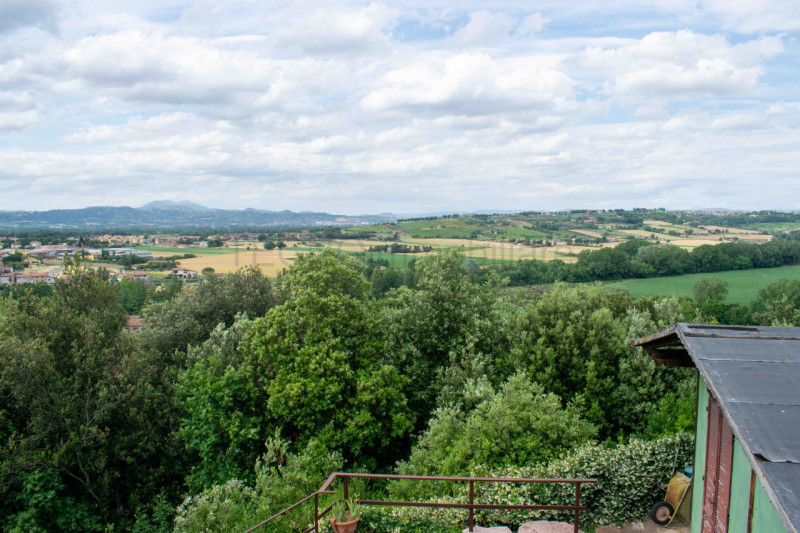Immagine 73 di Rustico / casale in vendita  in via dell'acquedotto a Torgiano