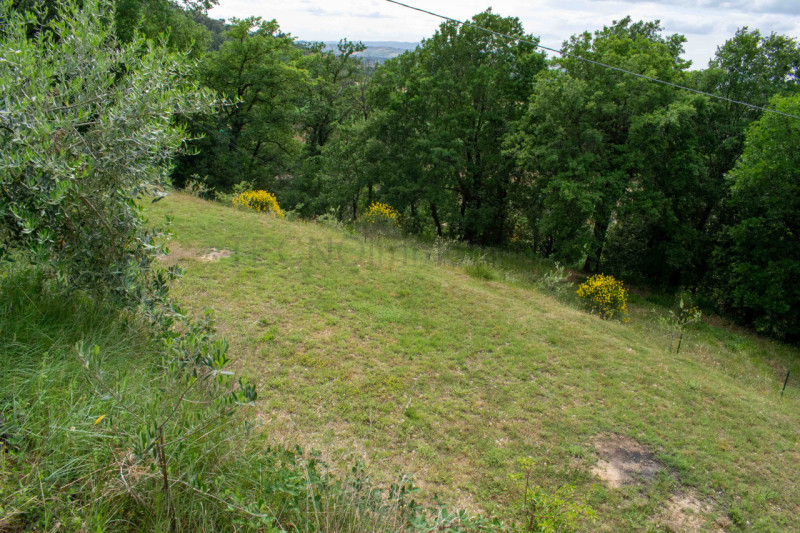 Immagine 78 di Rustico / casale in vendita  in via dell'acquedotto a Torgiano