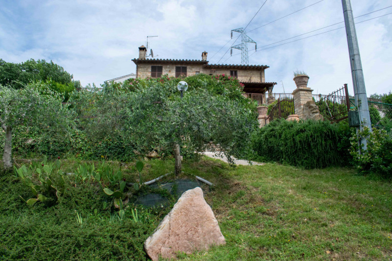 Immagine 80 di Rustico / casale in vendita  in via dell'acquedotto a Torgiano