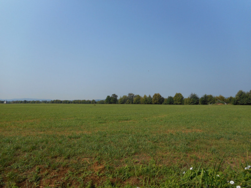 Immagine 2 di Terreno in vendita  in via gardellina a Caldogno