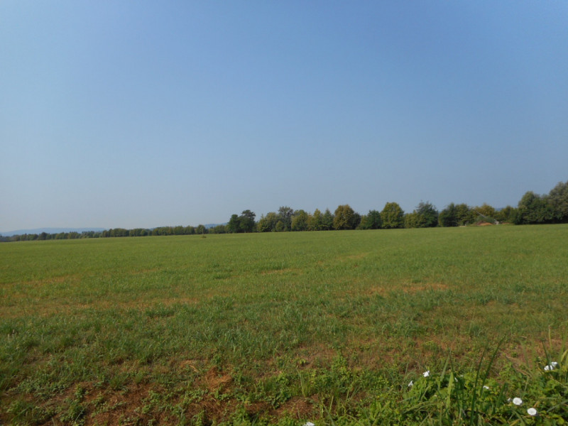 Immagine 3 di Terreno in vendita  in via gardellina a Caldogno