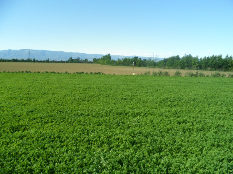 Immagine 4 di Terreno in vendita  in via gardellina a Caldogno