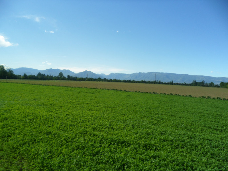 Immagine 5 di Terreno in vendita  in via gardellina a Caldogno