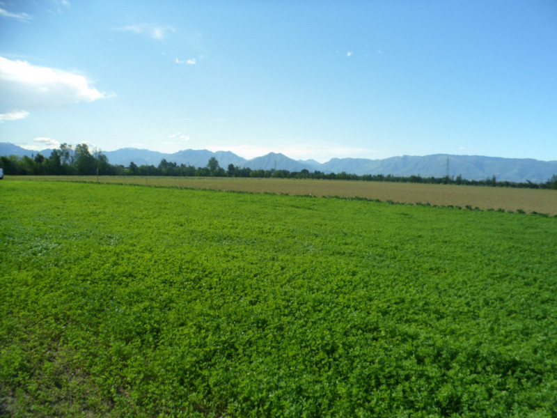 Immagine 7 di Terreno in vendita  in via gardellina a Caldogno