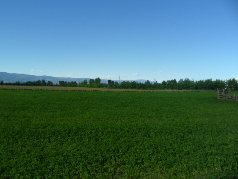 Immagine 8 di Terreno in vendita  in via gardellina a Caldogno