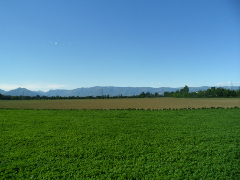Immagine 9 di Terreno in vendita  in via gardellina a Caldogno