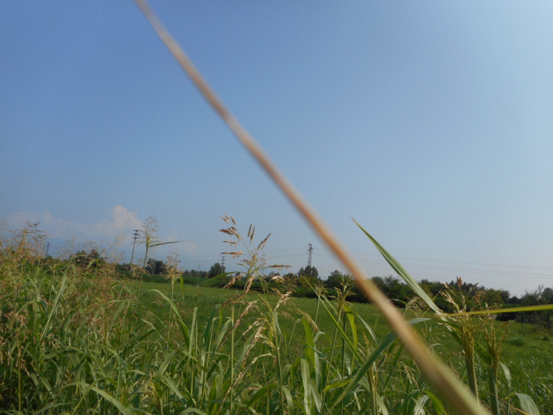 Immagine 11 di Terreno in vendita  in via gardellina a Caldogno