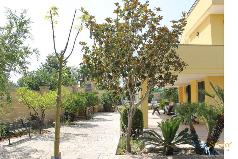 Immagine 22 di Villa in vendita  a Matino