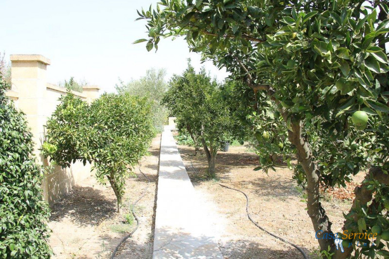 Immagine 32 di Villa in vendita  a Matino