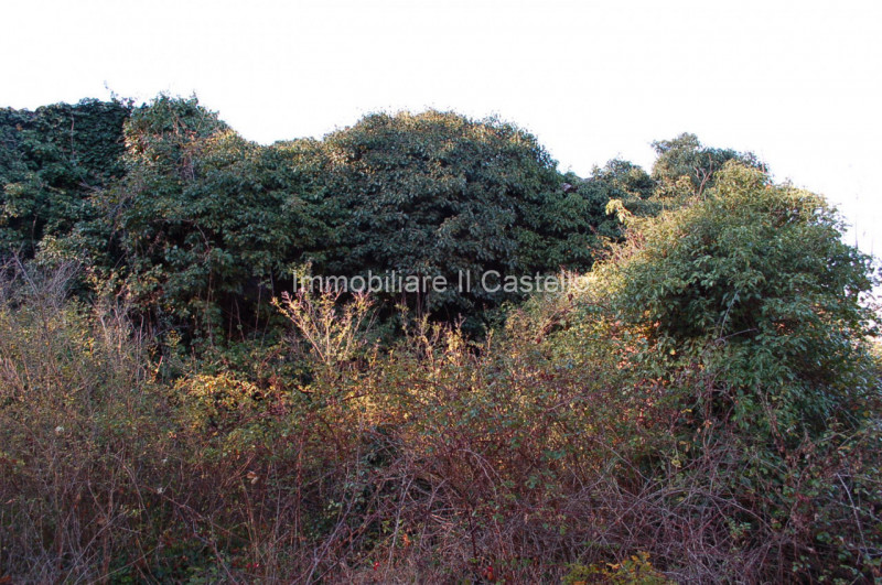 Immagine 6 di Rustico / casale in vendita  in PROPERZI a Piegaro