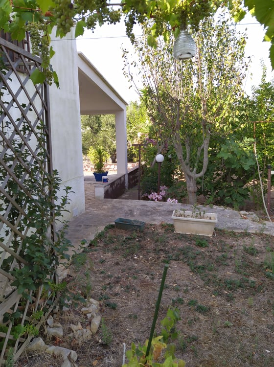 Immagine 16 di Villa in vendita  in contrada sessana grande a Ostuni
