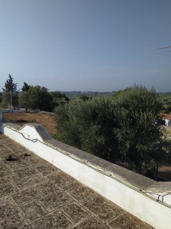 Immagine 25 di Villa in vendita  in contrada sessana grande a Ostuni