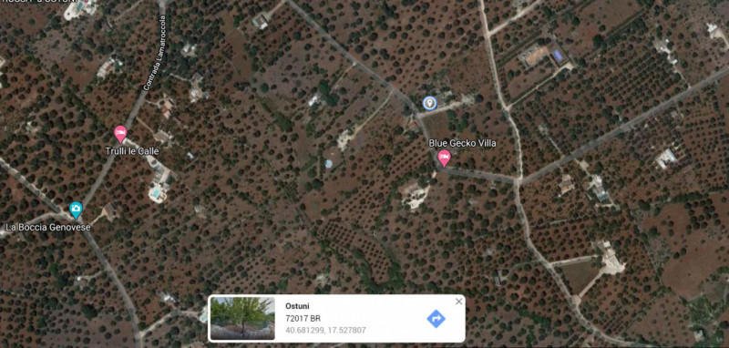 Immagine 28 di Villa in vendita  in contrada sessana grande a Ostuni