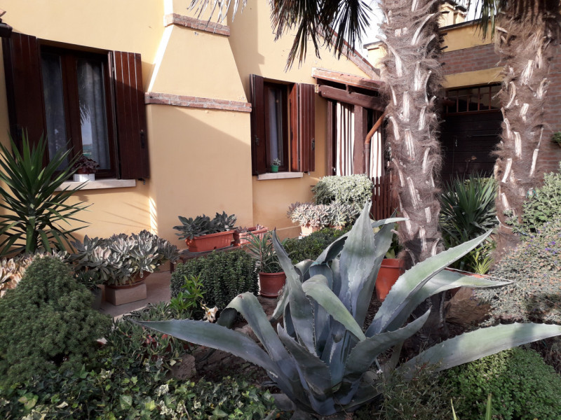 Immagine 24 di Villa in vendita  a Badia Polesine