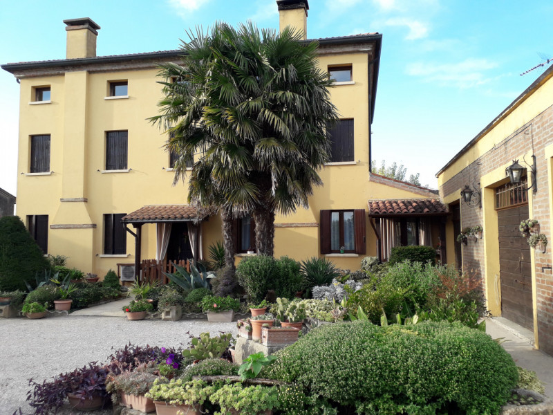 Immagine 27 di Villa in vendita  a Badia Polesine