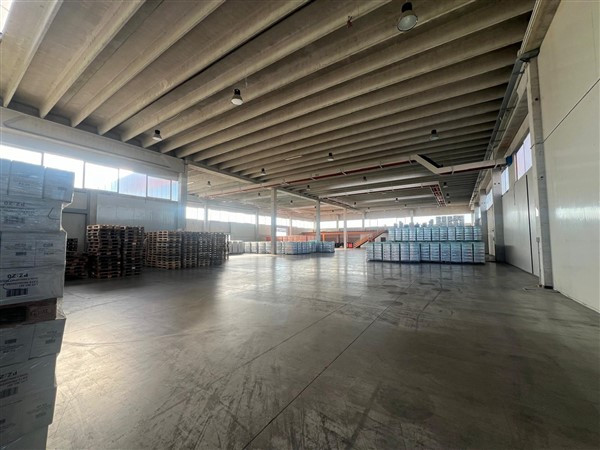 Immagine 18 di Capannone industriale in affitto  in Corso Venezia, 1 a San Bonifacio