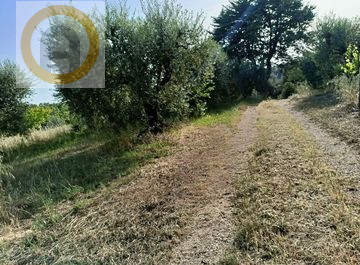 Immagine 2 di Terreno in vendita  a Marostica