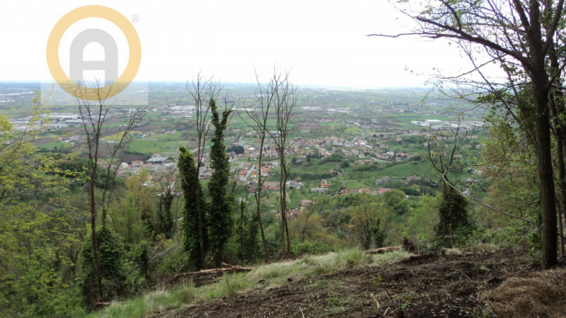 Immagine 3 di Terreno in vendita  a Marostica