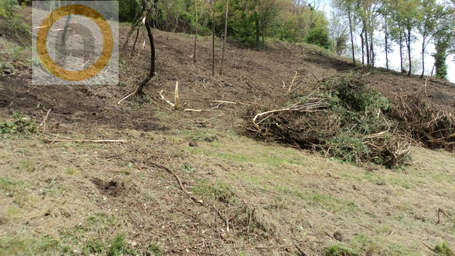 Immagine 6 di Terreno in vendita  a Marostica