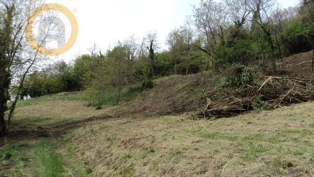 Immagine 7 di Terreno in vendita  a Marostica