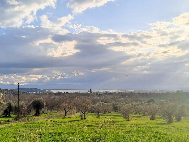 Immagine 8 di Rustico / casale in vendita  in Località Pischiello a Passignano Sul Trasimeno