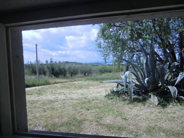 Immagine 11 di Rustico / casale in vendita  in Località Pischiello a Passignano Sul Trasimeno