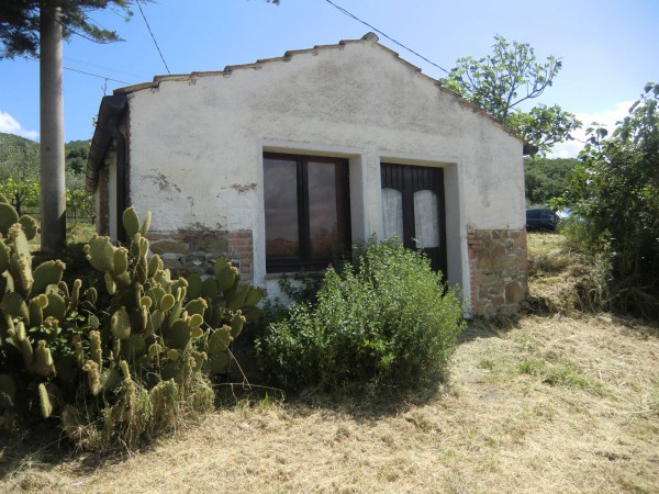 Immagine 14 di Rustico / casale in vendita  in Località Pischiello a Passignano Sul Trasimeno