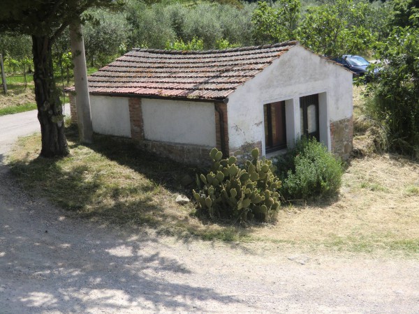 Immagine 15 di Rustico / casale in vendita  in Località Pischiello a Passignano Sul Trasimeno