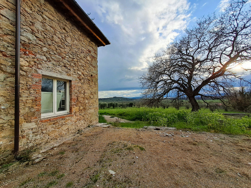 Immagine 25 di Rustico / casale in vendita  in Località Pischiello a Passignano Sul Trasimeno