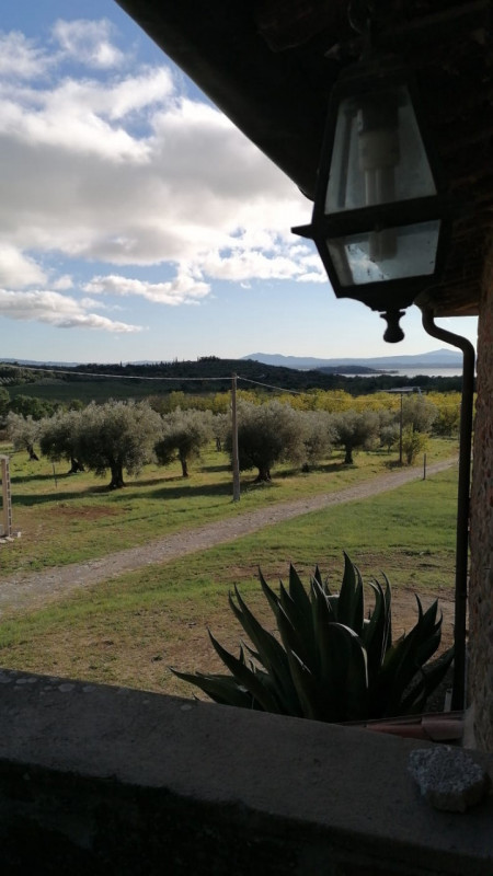 Immagine 27 di Rustico / casale in vendita  in Località Pischiello a Passignano Sul Trasimeno