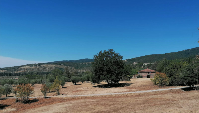 Immagine 32 di Rustico / casale in vendita  in Località Pischiello a Passignano Sul Trasimeno